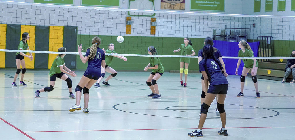 BRvolley4.jpg